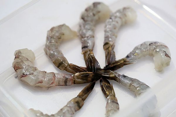 Step 1 Arrange shrimp in the container for steamed shrimp in the microwave