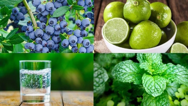 Ingredients for blueberry mojito - blueberry mojito