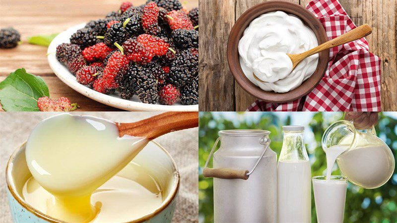Ingredients for mulberry yogurt ice cream