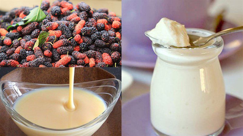 Ingredients for mulberry ice cream, yogurt mulberry ice cream
