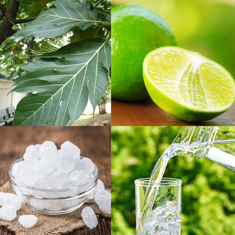 Ingredients for making fragrant sake leaf drink