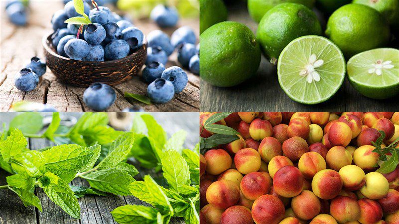 Ingredients for blueberry mojito