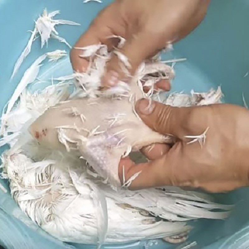 Step 1 Prepare the pigeon Grilled Pigeon