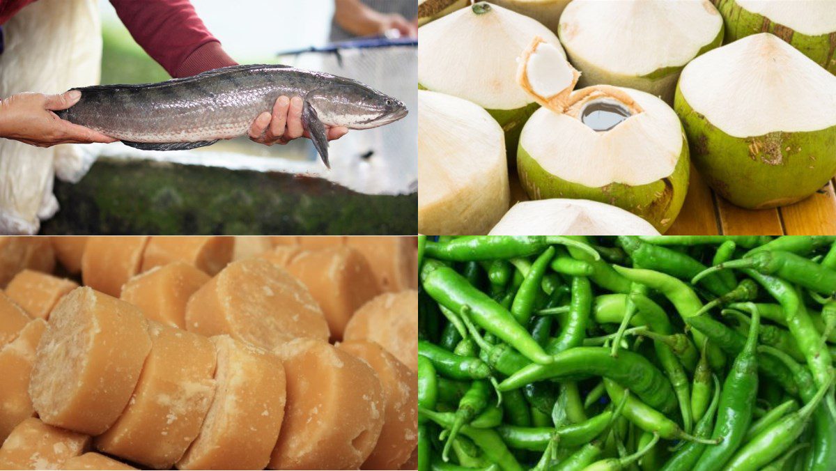 Ingredients for 2 ways to make snakehead fish cooked in coconut water