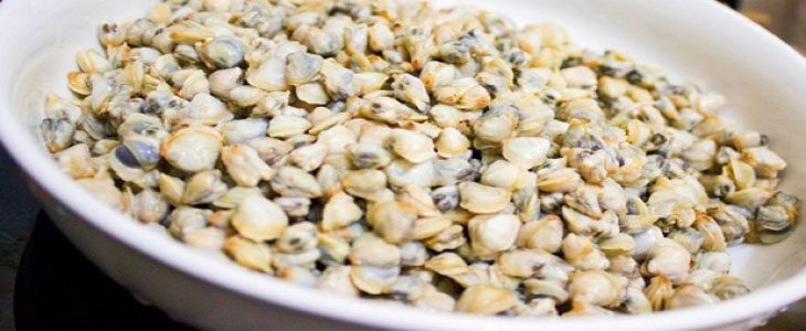 Step 1 Prepare the clams Coconut milk Hến noodle soup