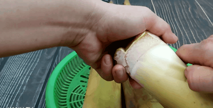 Step 1 Preparing Bamboo Shoot Dried Bamboo Shoot