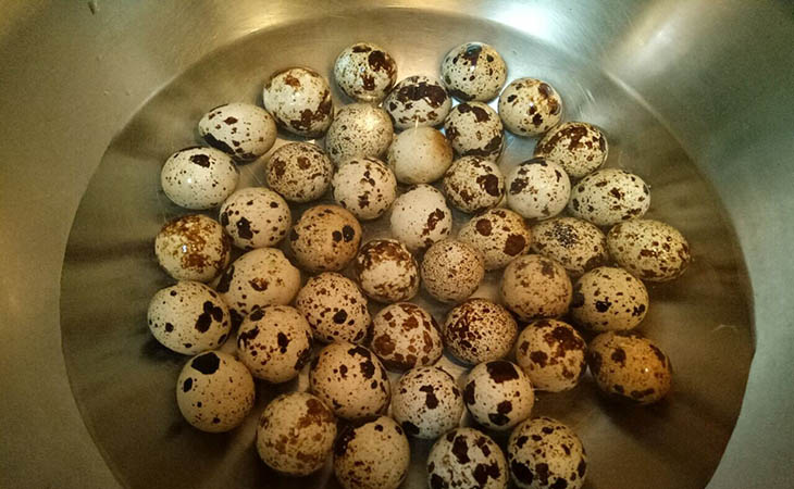 Step 1 Prepare the quail eggs Spicy Quail Eggs