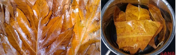 Step 2 Cook Sake Leaf Drink Sake Leaf Drink