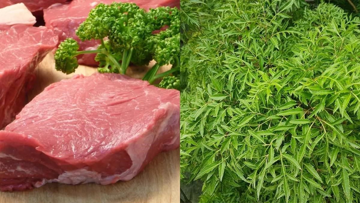 Ingredients for dinh lang soup