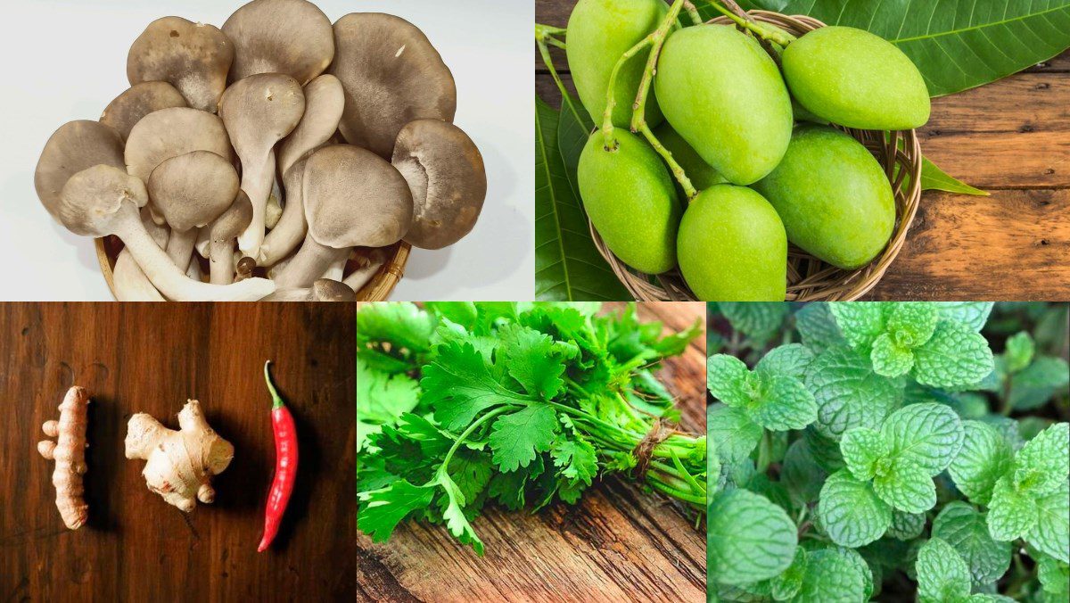 Ingredients for making vegetarian oyster mushroom salad