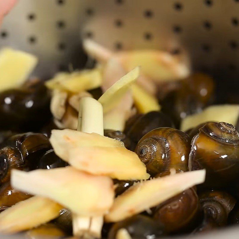 Step 2 Steam the snails Steamed Giant Snails with Ginger and Lemongrass