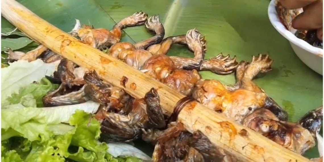 how to make grilled frog with crispy skin delicious flavor you will forget about the complaints 08938