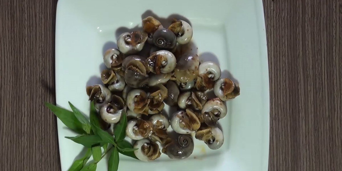 how to make snails sauteed with garlic and butter delicious appealing super recipe 08240