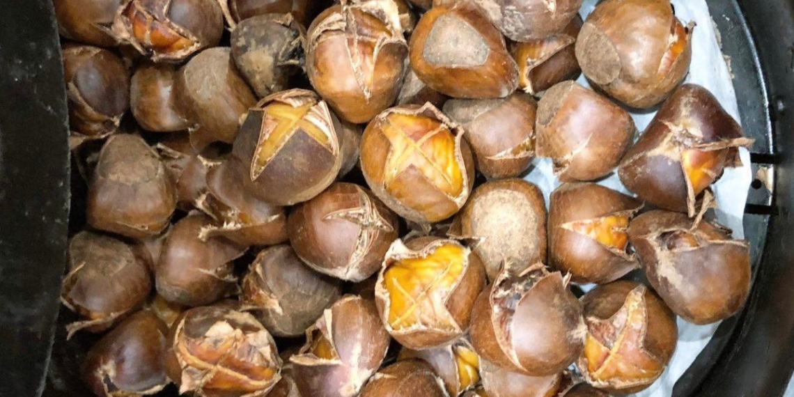 how to roast seeds fast with an oil free fryer 02465