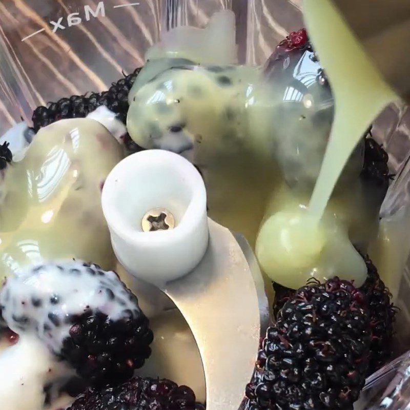 Step 2 Puree mulberries Mulberry yogurt ice cream