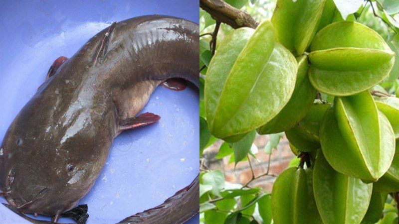 Ingredients for braised catfish with starfruit, black pepper, and starfruit