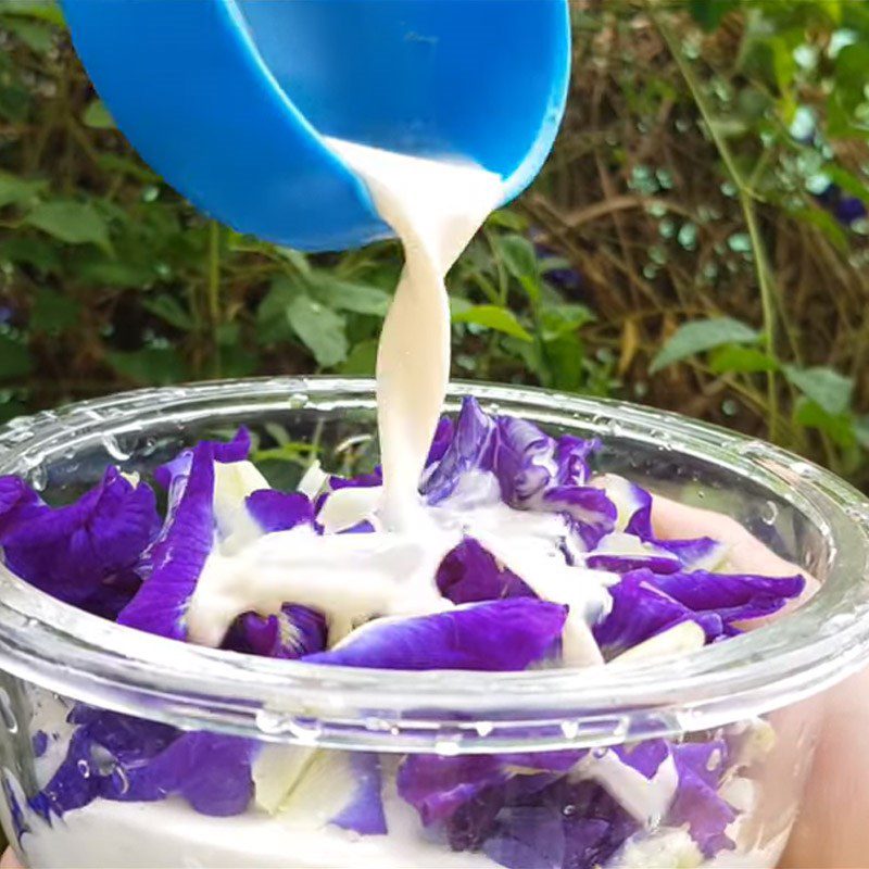 Step 1 Soak butterfly pea flowers with fresh milk Butterfly Pea Flower Milk Ice Cream