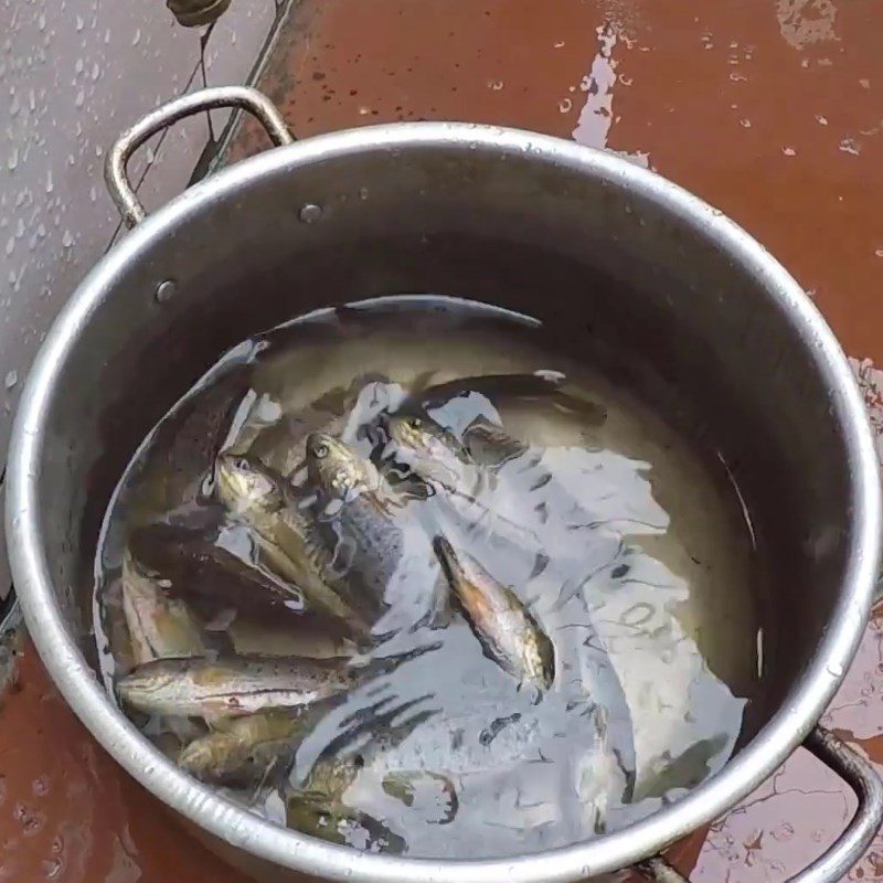 Step 2 Boil fish Sticky pond catfish