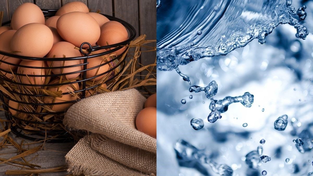 Ingredients for soft-boiled eggs