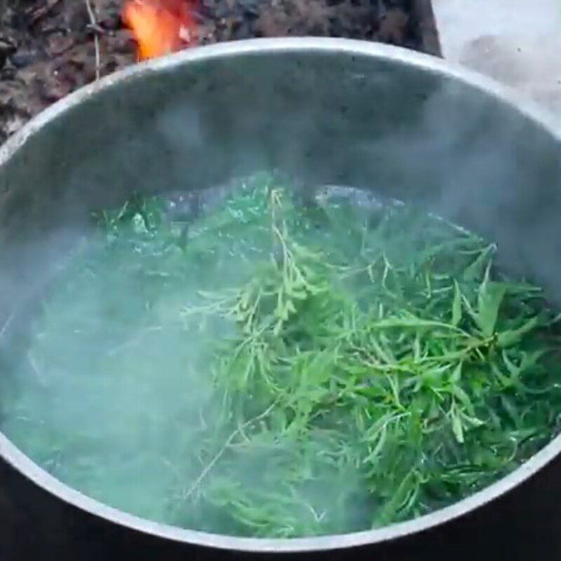 Step 2 Cooking the beef and pennywort soup