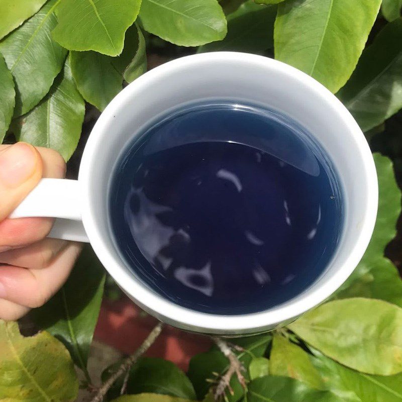 Step 1 Soak Butterfly Pea Flowers for Butterfly Pea Flower Lemon Tea