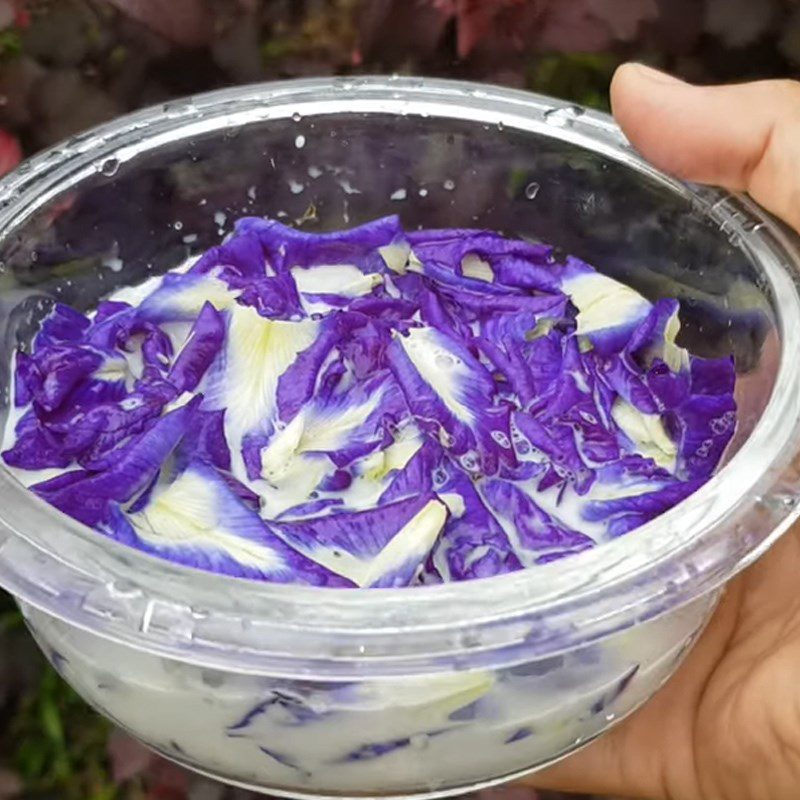 Step 1 Soak butterfly pea flowers with fresh milk Butterfly Pea Flower Milk Ice Cream