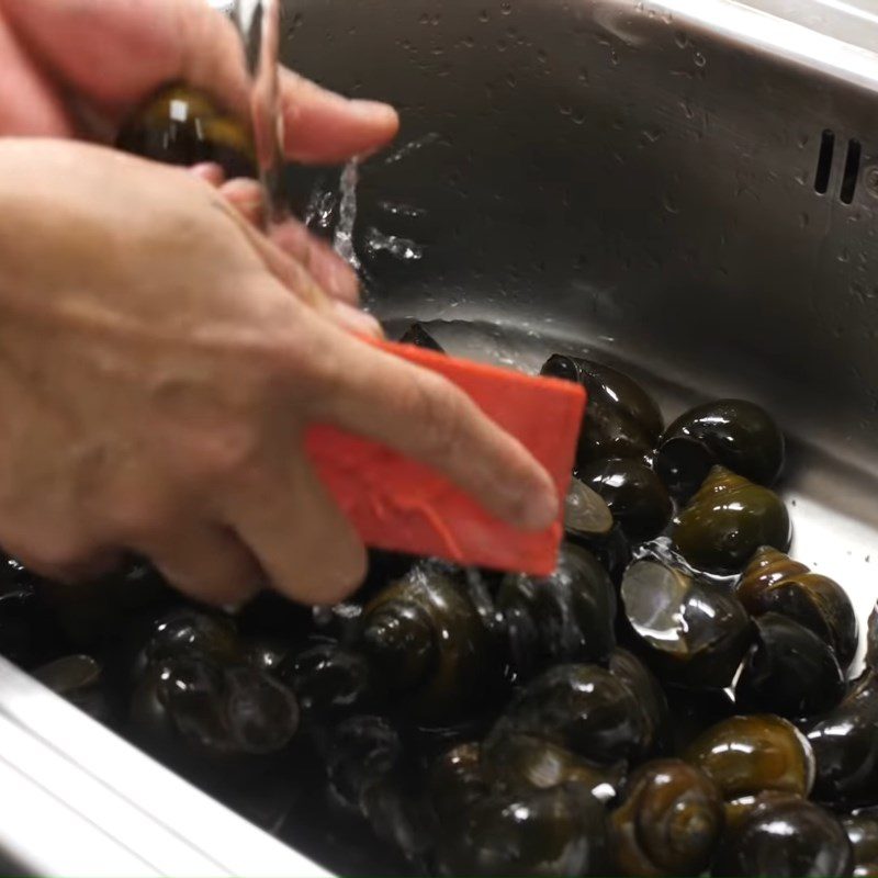 Step 1 Soak and clean the snails for Hot Snail Noodles