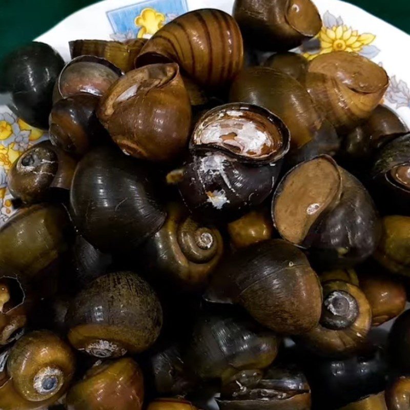 Step 1 Soak and Prepare Snail Sautéed with Garlic