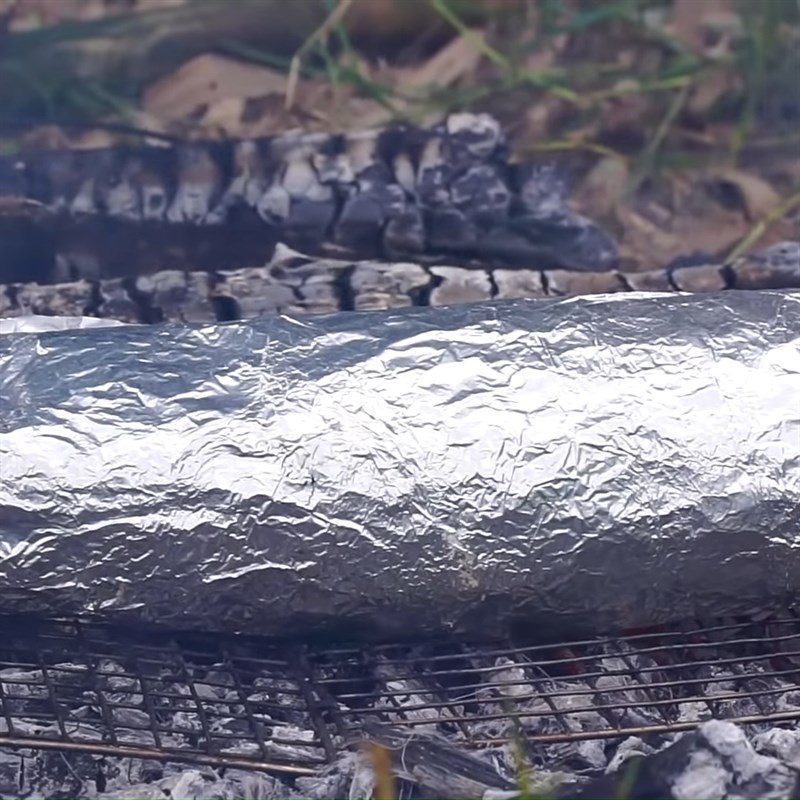 Step 3 Grilling Fish Grilled Snakehead Fish with Salt