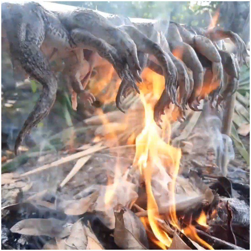 Step 3 Grilled Frog Grilled Frog