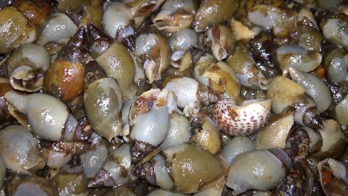 Fried snails with tamarind