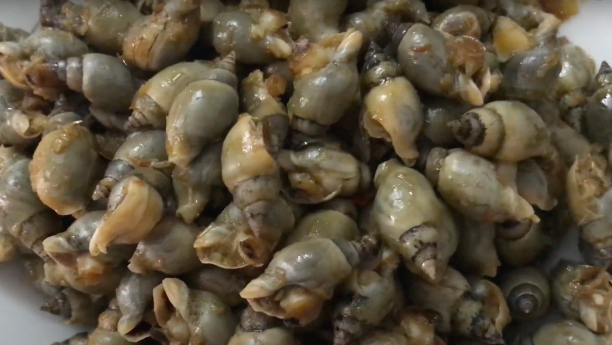 Stir-fried sea snails with satay