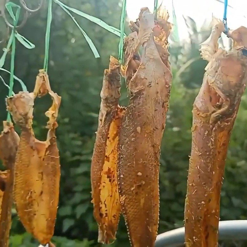 Step 4 Sun drying Dried snakehead fish