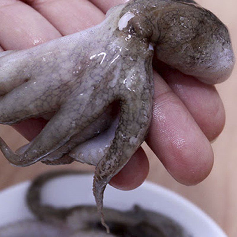 Step 1 Prepare octopus for octopus noodle soup