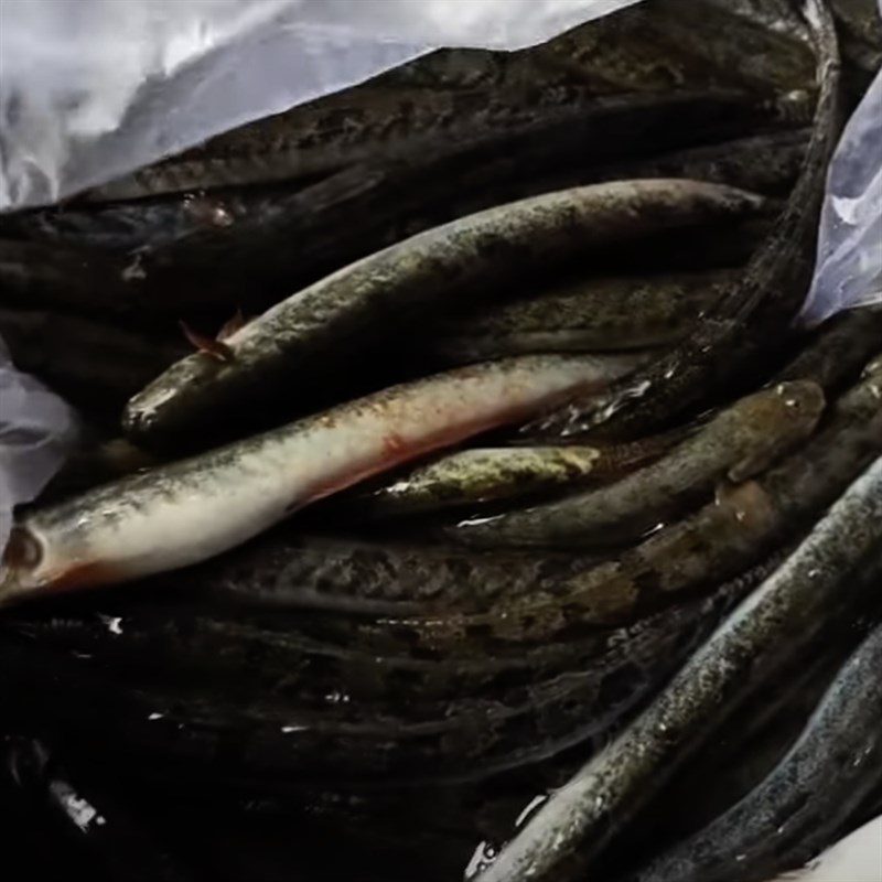 Step 1 Processing Snakehead Fish