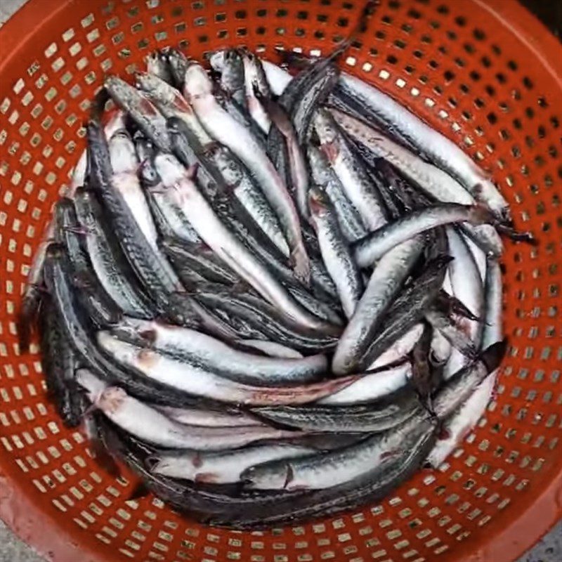 Step 1 Processing Snakehead Fish