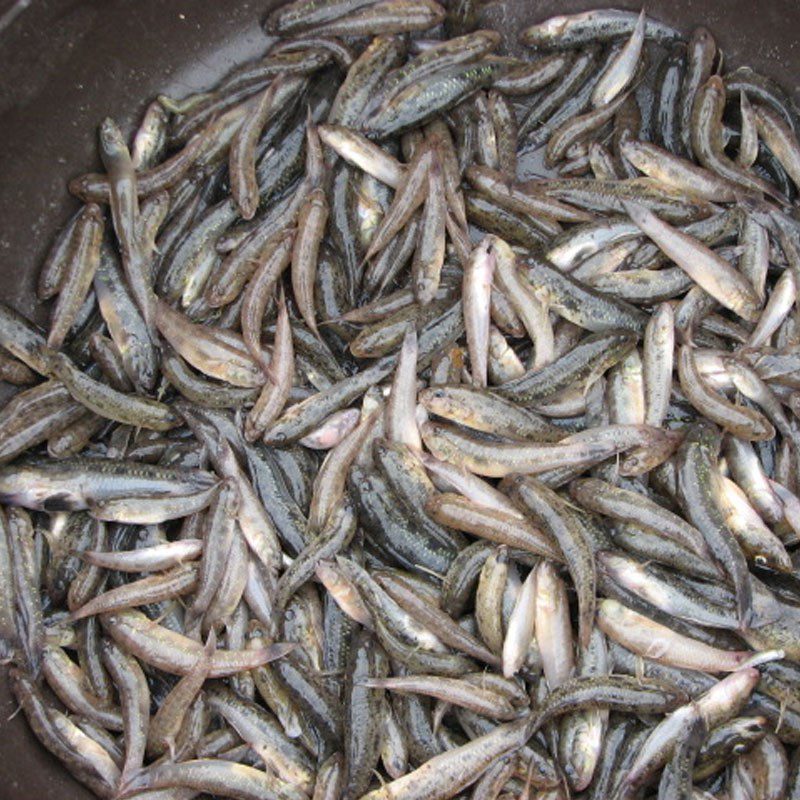 Step 1 Prepare the goby fish Braised goby fish