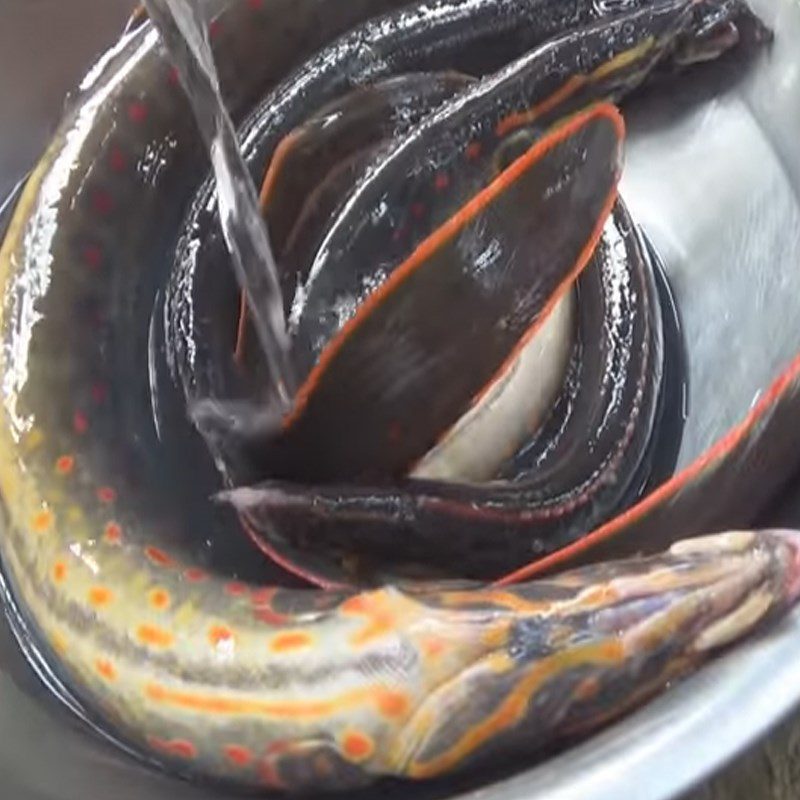 Step 1 Prepare eel for sour and spicy eel hot pot