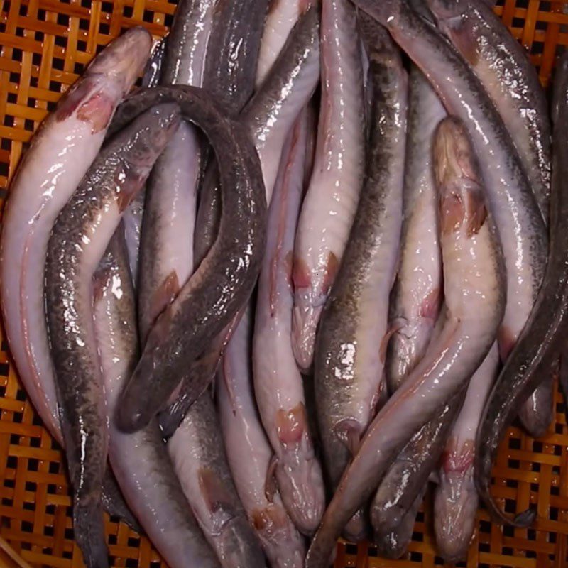 Step 2 Prepare the eel for eel porridge with straw mushrooms