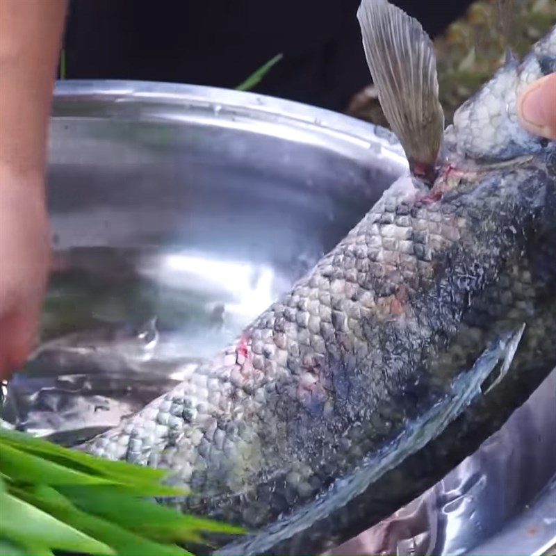 Step 1 Prepare snakehead fish Snakehead fish grilled with salt snow