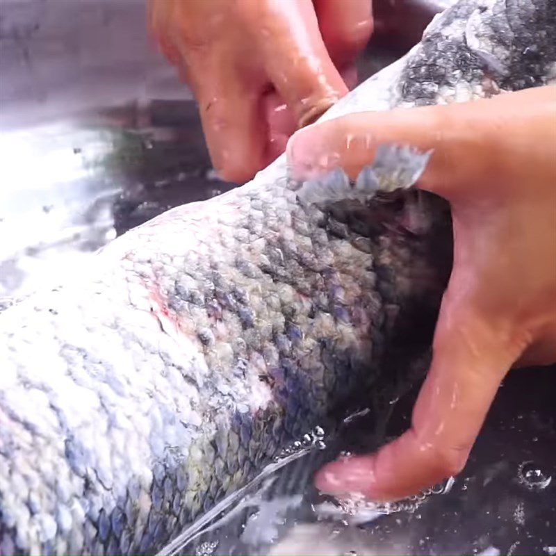 Step 1 Prepare snakehead fish Snakehead fish grilled with salt snow