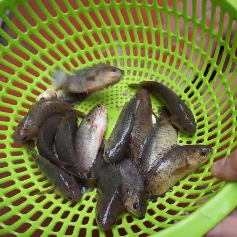 Step 1 Prep Carp Sticky Rice with Wild Carp