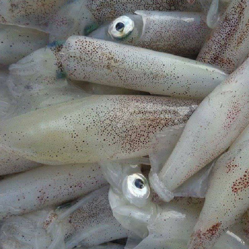 Step 1 Prepare the ingredients Squid Eggs - fried milk squid with fish sauce