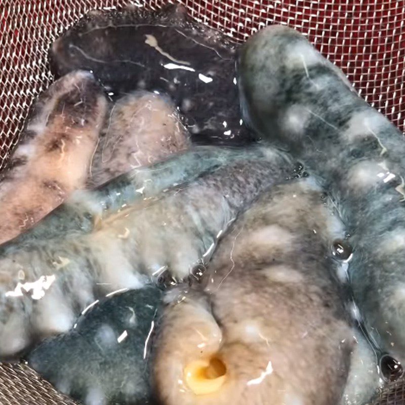 Step 2 Prepare sea cucumber How to make abalone soup with fish maw