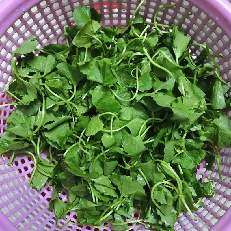 Step 1 Prepare the ingredients for pennywort soup with minced meat