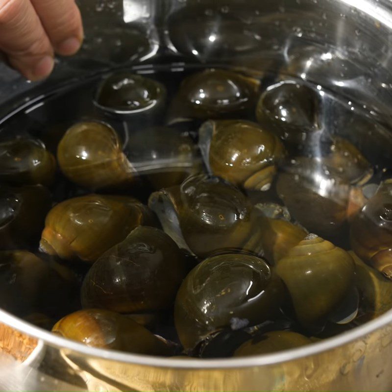 Step 1 Wash and boil the snails Cold Snail Noodles