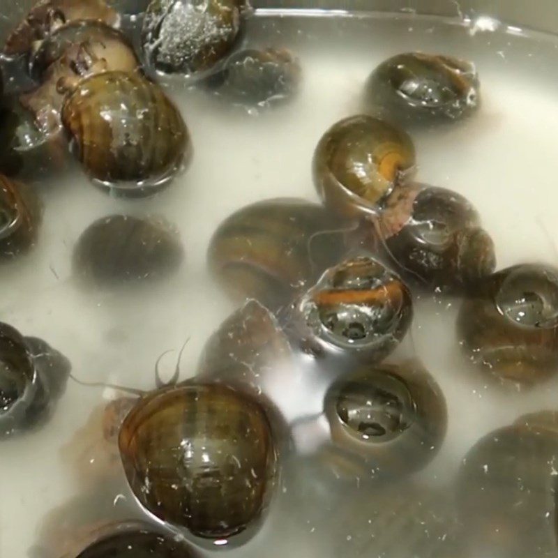 Step 1 Prepare the snails Stir-fried snail with satay