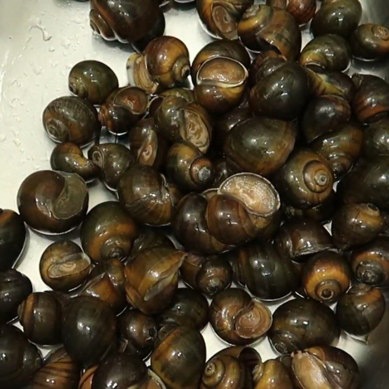 Step 1 Prepare the snails Stir-fried snail with satay