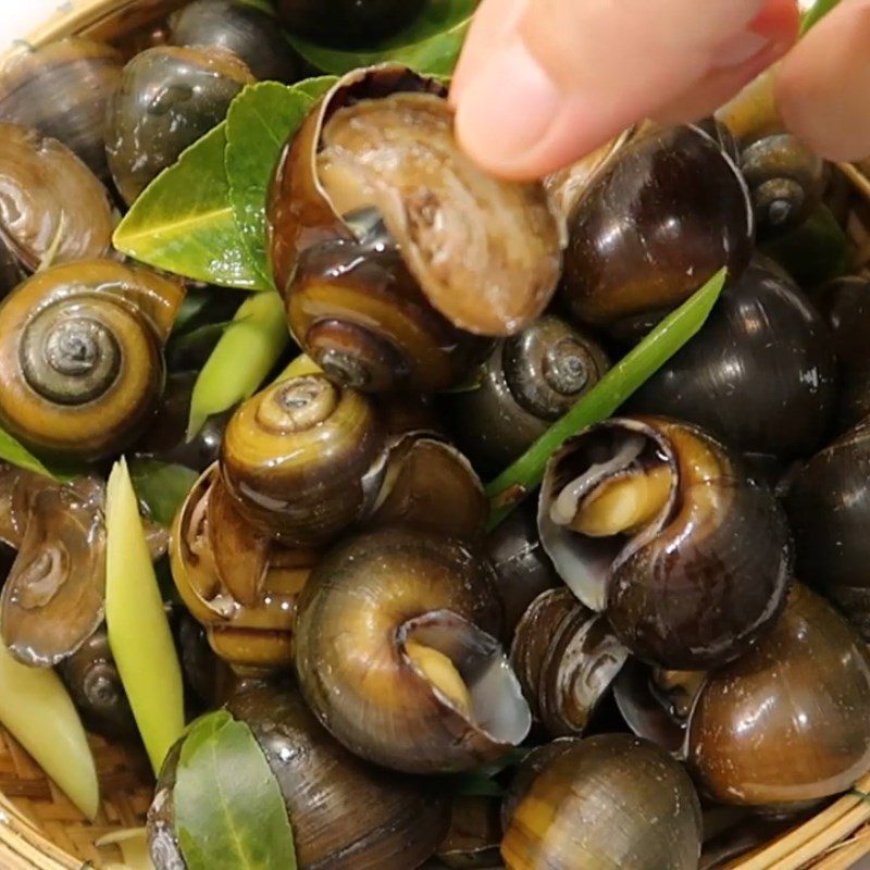 Step 1 Prepare the snails Stir-fried snail with satay