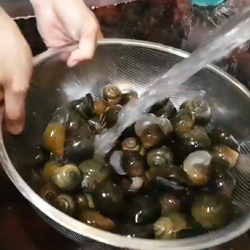 Step 1 Prepare the snails and ingredients for sour and spicy snail hot pot